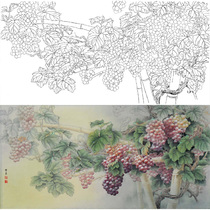 Meticulous painting line drawing manuscript Sun Xi grape 66*132 physical white paper printed manuscript with color picture 070T