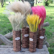 Natural wheat ears dried flowers home decoration lover grass reed rice ears opening barley pastoral shooting props decoration