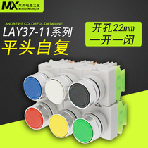 SELF-RESET BUTTON SWITCH LAY37-11BN(Y090) FLAT HEAD BUTTON WITHOUT LOCK Ф22mm
