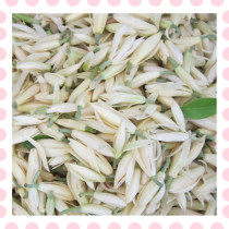 White orchid flowers are fresh picked at the end of August to make pure dew essential oil enzyme marinated white orchids are in stock group purchase