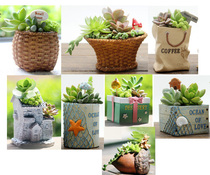 zakka creative cottage basket basket succulent plant wall hanging flowerpot micro landscape ornaments birthday gifts home decoration