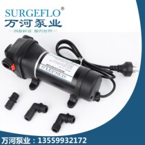 FL-43 110V 220V AC household pumping diaphragm self-priming pump micro tap water pipe booster pump