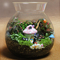   Micro-landscape ecological bottle Birthday gift Ecological bottle Micro-landscape anime series-Fairy tale