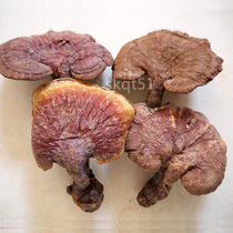 Yunnan deep mountains picking 10-13cm of pure wild Ganoderma lucidum 250 grams selected large flower pruning Ganoderma lucidum