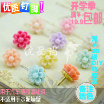 10 10 color 10 grain resin small rose Verge by nail workword color nail creative cork big head figure nail can nail wall wall nail