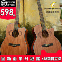 Dulwich Dolphin Guitar 40-inch 41-inch single-board guitar folk guitar peach blossom core advanced electric box guitar optional