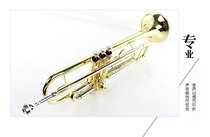 Suzuki B- flat trumpet instrument three-tone trumpet student adult beginner surface electrophoresis gold