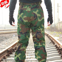 Autumn pants 33 old-fashioned students color riding outdoor sports casual pants cotton wear-resistant dirt and scratch-resistant