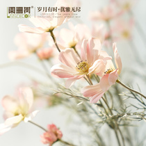 Shanshan tree cosmos simulation flower living room flower arrangement ornaments hipster fake flower home dining table decoration flower silk flower
