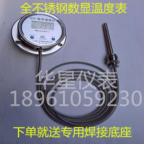  WST DTM491 digital display bimetallic thermometer Digital high-precision waterproof and corrosion-resistant industrial meter with probe