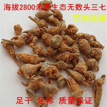 2800 meters above sea level Yunnan Wenshan original ecological spring water washing Sanqi head field seven full dry countless head 500 grams