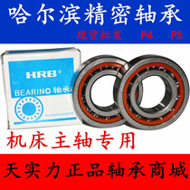 Harbin Bearings 7318 7319 7320 7321 7322 BM C P5 P4 DBB Spindle Bearings