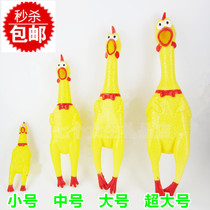 Desperate fighting chicken screaming chicken strange call chicken GOOG chicken out of breath decompression funny whole person gift