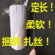 Personalized custom length fine tie wire stainless steel tie wire 304 316L cut off non-rust full soft tie