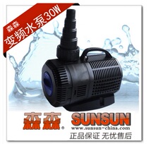 Entity operating Sensen variable frequency submersible pump 30W Head 5 2M flow 5000L invoicing