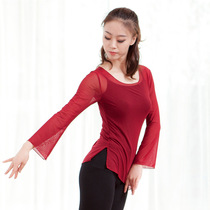 New classical dance practice uniform Dance Dance grade gauze clothing classical body Net yarn top