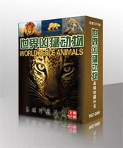 Collection Playing Cards Collection) WZ009 World Ferocious Animal) on the book house out-of-the-box delivery) for childrens gifts)