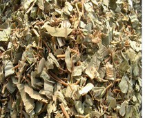 Chinese herbal medicine Chinese herbal medicine large leaf red grass 500g