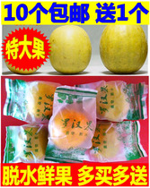 Guangxi Guilin Yongfu dry goods specialty Luo Han fruit tea freeze-dried low temperature dehydrated Luo Han Guo large fruit 10