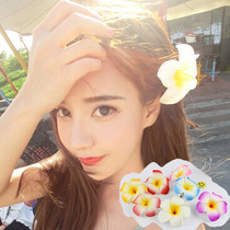 Seashore fresh sweet plumpflower floral headdress corsage hairclip clip hat flower hair accessories colorful headdress beach flower