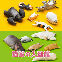 (Cats Spot) Japanese version Gacha Pandas Cave Healing Dormant Animals Lying Sleeping Animals