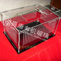 Imported transparent food display box acrylic plexiglass plate wholesale custom-made Spider