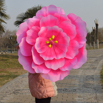 Peony Parachute Umbrella Umbrella Umbrella Parach Parach Parach Parach Parach Parach Square Dance Flowers