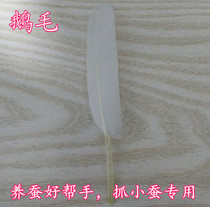 Goose feathers Silkworm seeds silkworm eggs Silkworm catch silkworm bobbies good helper silkworm special 2 goose feathers 1 2 yuan