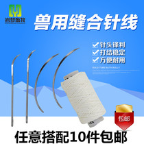Veterinary equipment of veterinary equipment of veterinary veterinary equipment of pig and sheep with suture line of needle