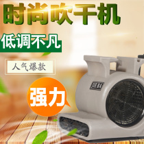 JB Hotel BF535 Floor Floor Carpet Power Blower Dryer Floor Blower Dryer Hair Dryer