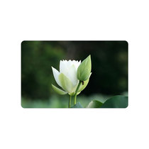 Flowers and trees card stickers Custom lotus card stickers Lotus leaf card stickers Lotus pond card stickers DIY custom card stickers