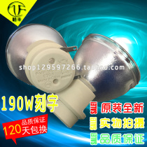 ViewSonic PJD5134 5233 5453S 5523W 6245 6353 6383 Projector machine bulb