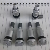 Road tiger deity walker finds extreme light valve core nozzle Range Rover with fetal pressure monitoring sensor