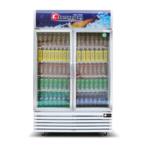 Into Cloud Display Cabinet Refrigerated Cabinet Freezer Drinks Cooked Food Preservation Cabinet Double Door Freezer Commercial Drink Cabinet Vertical