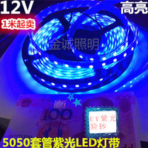 Special low pressure 12V5050 casing waterproof violet LED light with 12V5050UV purple light banknote decorative light bar