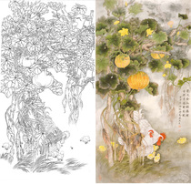 Gongbi painting white sketch background Pumpkin rooster Liang Yansheng physical white paper print draft 66*130 with color 033T