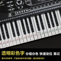 Piano beginner learning keyboard stickers 88 keys electronic piano simple notes 61 key button stickers