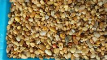 Natural small stones Washed stones Trash cans Fine sand fish tank stones Yellow small stones