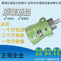 Manufacturers direct sales 16MCY 16MCY14-1B high pressure plunger pump hydraulic plug pump pump pump oil pump