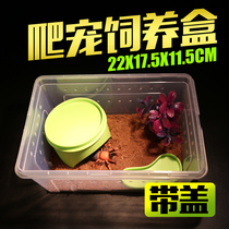 Reptile supplies plastic acrylic feeding box with lid Spider lizard insect breeding portable box