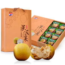 Luo Han fruit tea Guilin low temperature dehydration freeze-dried gold Luo Han Guo Guangxi Yongfu specialty big fruit 12