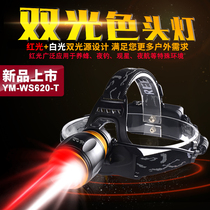  Dual light source red bald light Strong light long-range beekeeping special head-mounted flashlight bee red light white light