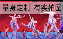Dance Fairy Pavilion Dance Costume Stage Performance Performance Costume Professional Customizations
