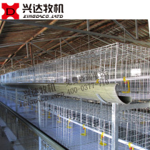 Three-dimensional hot galvanized broiler cage Shandong Xingda animal husbandry machine factory direct sales