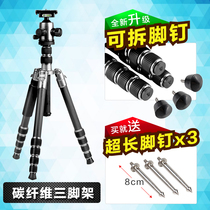hpusn Carbon Fiber tripod Gimbal Set DSLR Digital Camera Portable Triangle Monopod Foot nail