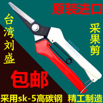 Taiwan Liu Sheng P-165A grape fruit picking scissors long mouth sparse flower scissors thin fruit scissors potted bonsai multi-function pruning