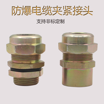 Explosion-proof cable clamping seal joint BDM-D(IV) Explosion-proof Gran head sealing waterproof introduction device Non-standard