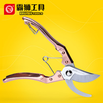 Bullion Gardening Scissors Flowers Branch Cut Prunes Scissors Coarse Branches Branch Cut Fruit Instrumental Flowers Sheen Garden Tools