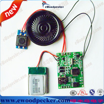 Woodpecker electronic audio production greeting card playback module rechargeable lithium battery MP3 audio button playback