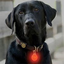 Pet luminous pendant Dog walking light Night anti-collision LED warning light tag Pet pendant fluorescent dog necklace